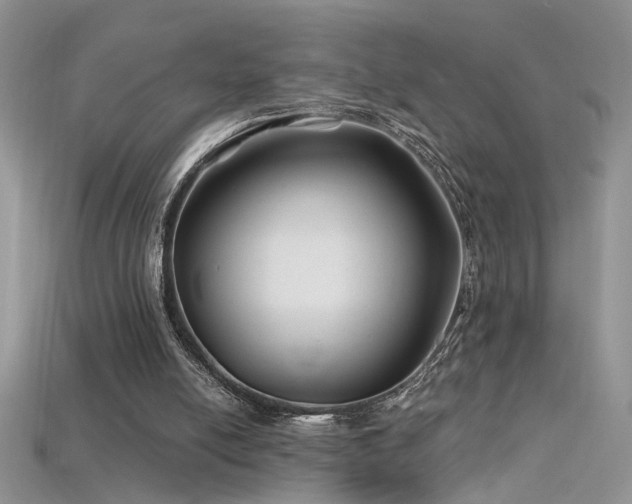 X0000115690054200911121316