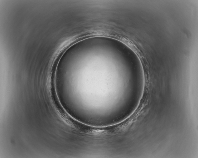 X0000115690055200911121316