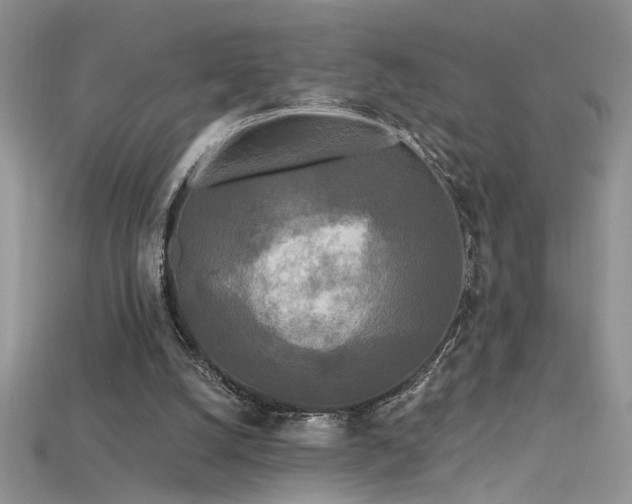 X0000115690056200911121316
