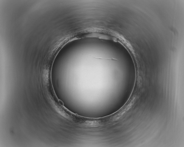 X0000115690057200911121316