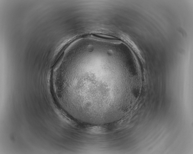 X0000115690058200911121316