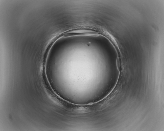 X0000115690059200911121316