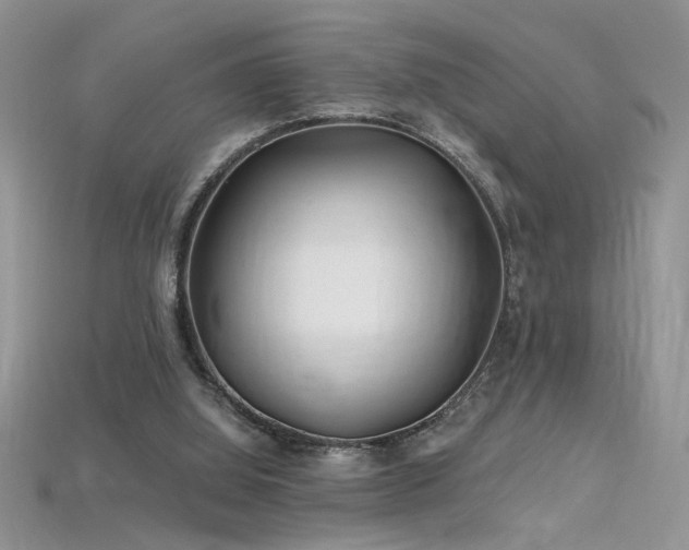 X0000115690060200911121316