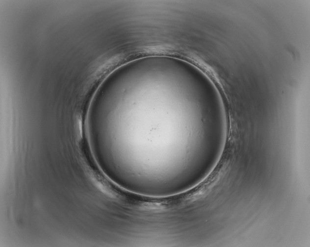X0000115690061200911121316