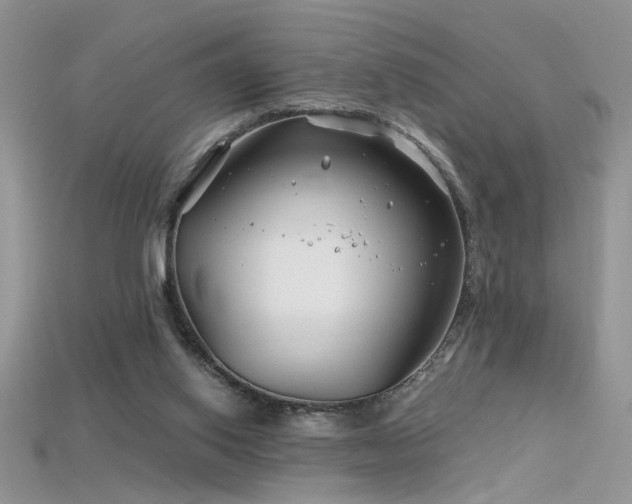 X0000115690062200911121316