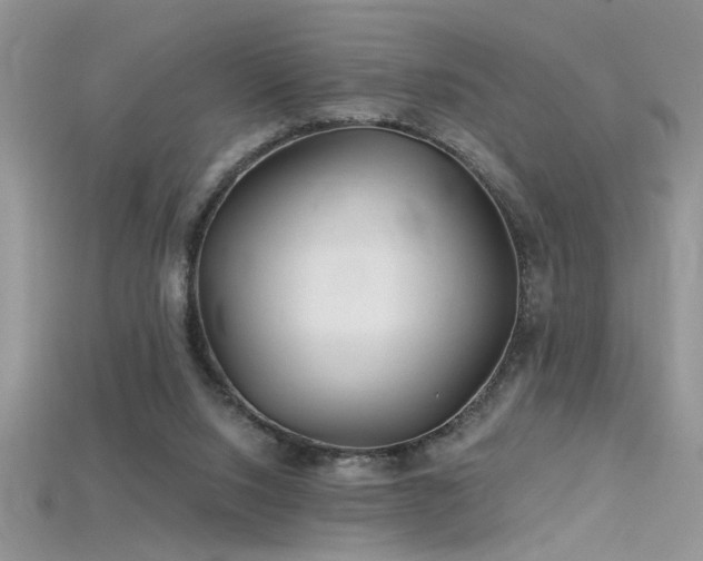 X0000115690064200911121316