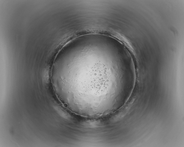X0000115690065200911121316