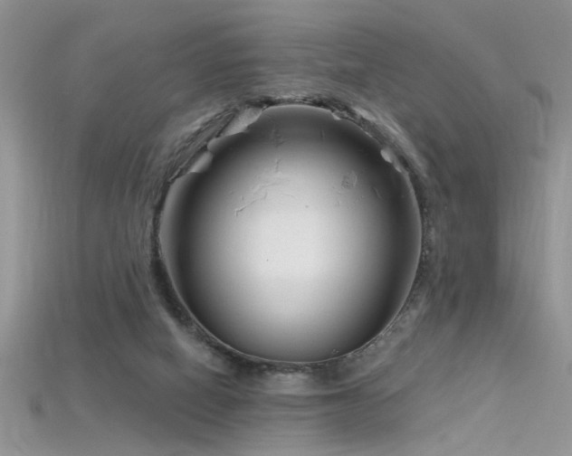 X0000115690066200911121316