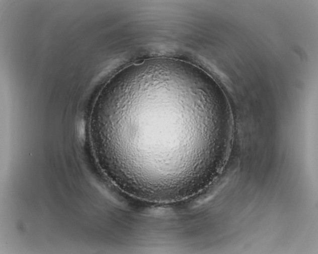 X0000115690067200911121316