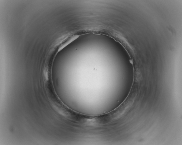 X0000115690068200911121316