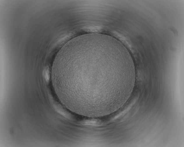X0000115690069200911121316
