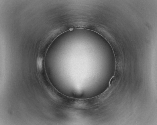 X0000115690070200911121317