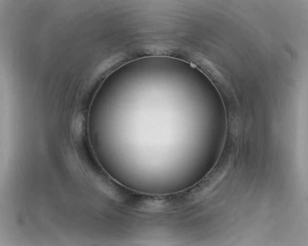 X0000115690071200911121317