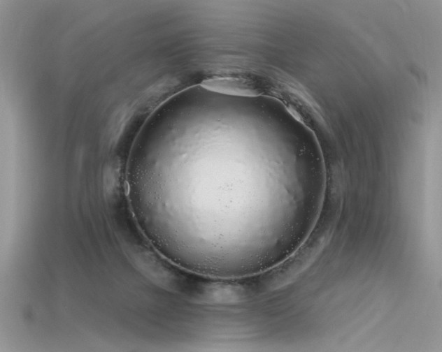 X0000115690073200911121317