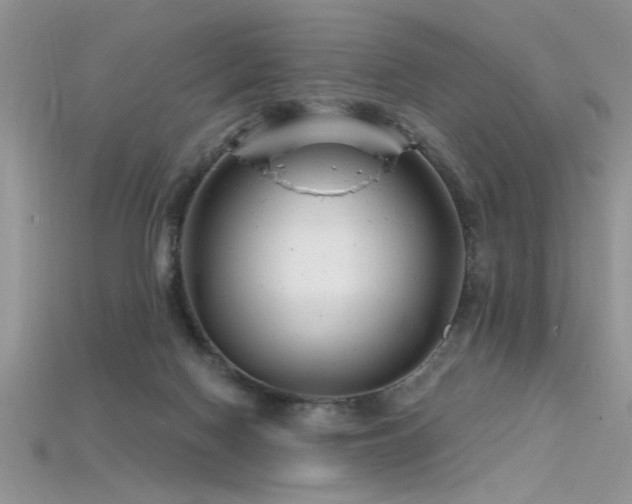 X0000115690074200911121317