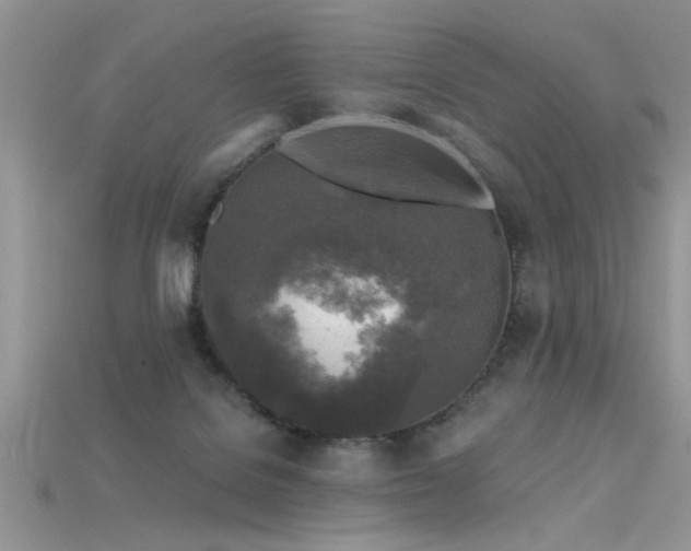 X0000115690076200911121317