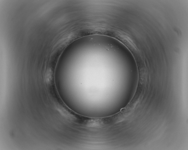 X0000115690077200911121317