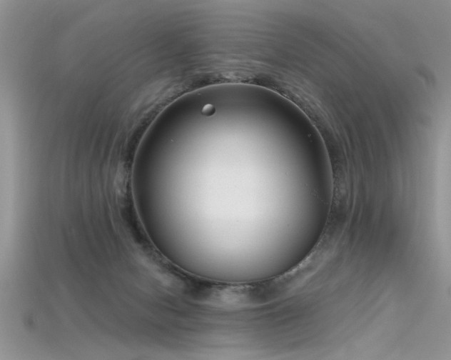 X0000115690078200911121317
