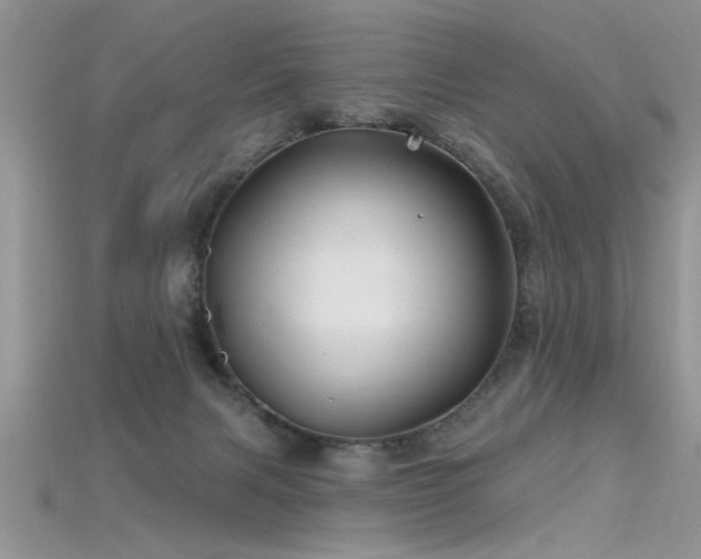 X0000115690079200911121317