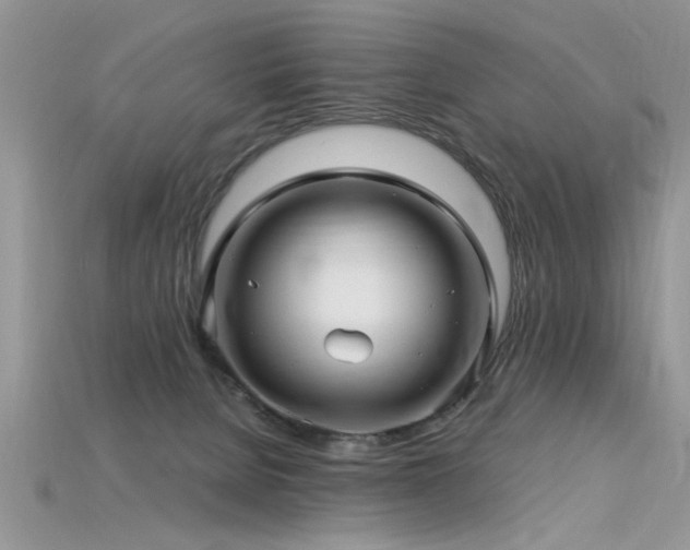 X0000115690080200911121317