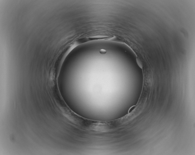 X0000115690082200911121317