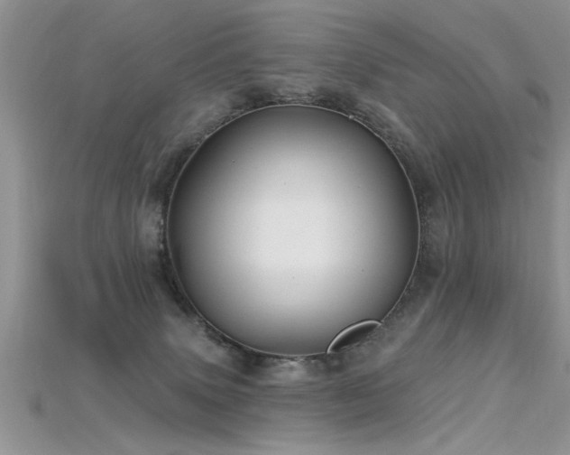 X0000115690083200911121317