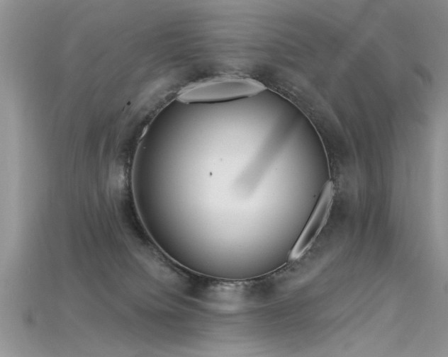 X0000115690084200911121317