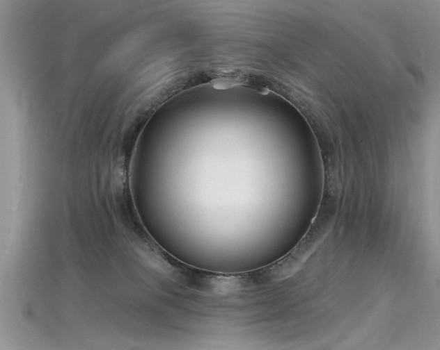 X0000115690085200911121317