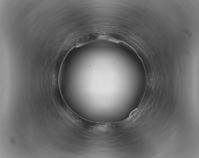 X0000115690086200911121317