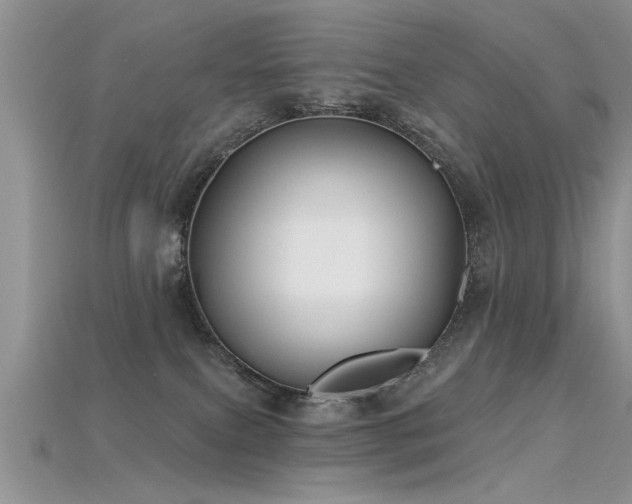 X0000115690087200911121317