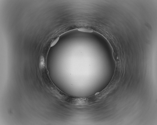 X0000115690089200911121317