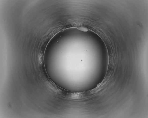 X0000115690090200911121317