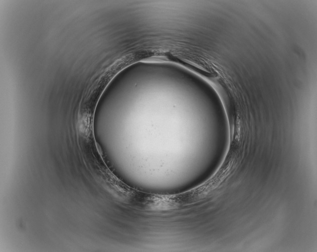 X0000115690093200911121317