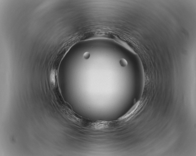 X0000115690094200911121317