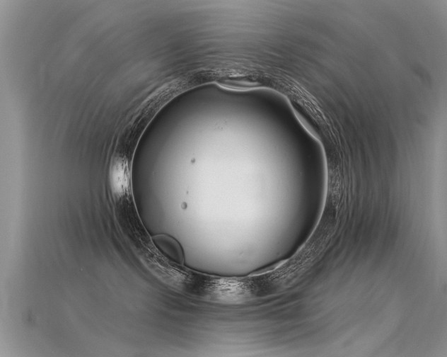 X0000115690095200911121317