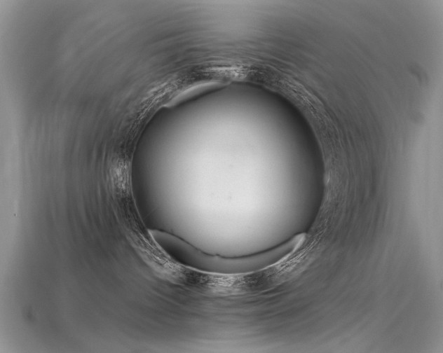X0000115690096200911121317