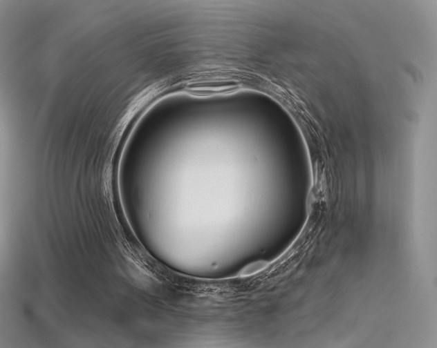 X0000115690099200911121316