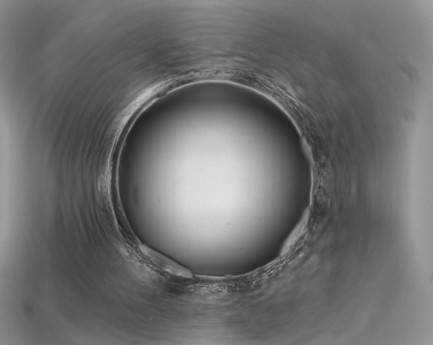 X0000115690100200911121316