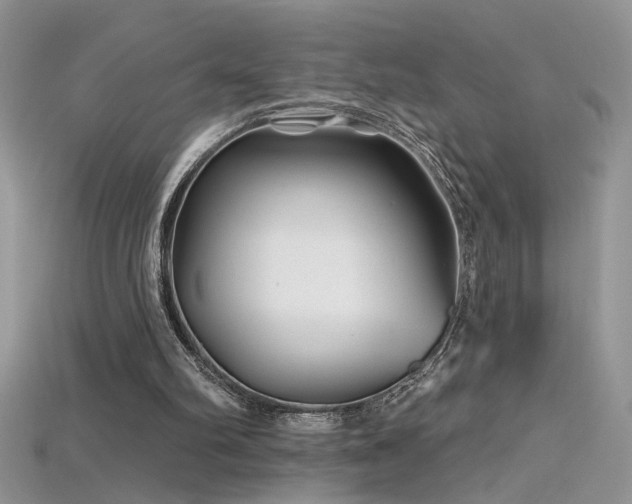 X0000115690102200911121316