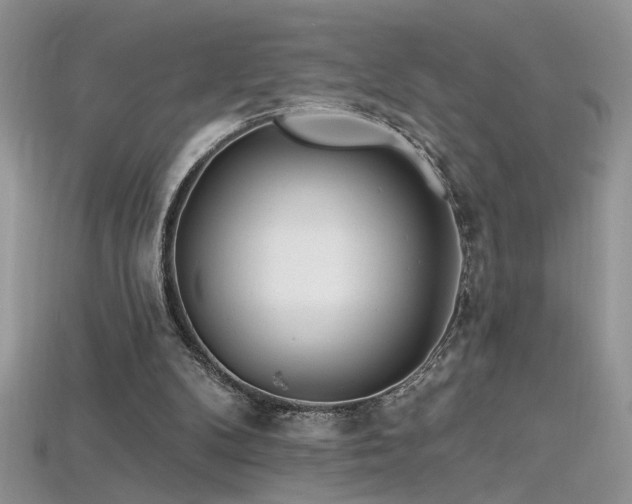 X0000115690104200911121316