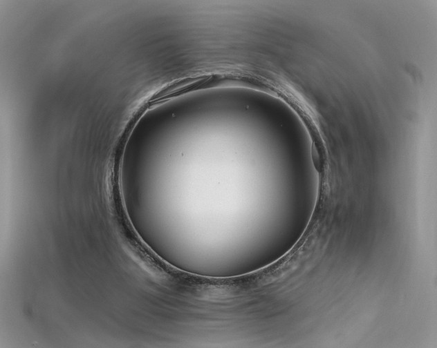 X0000115690107200911121316