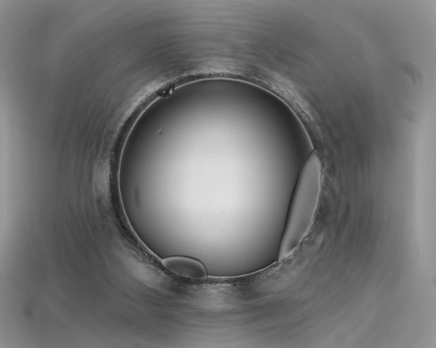 X0000115690108200911121316