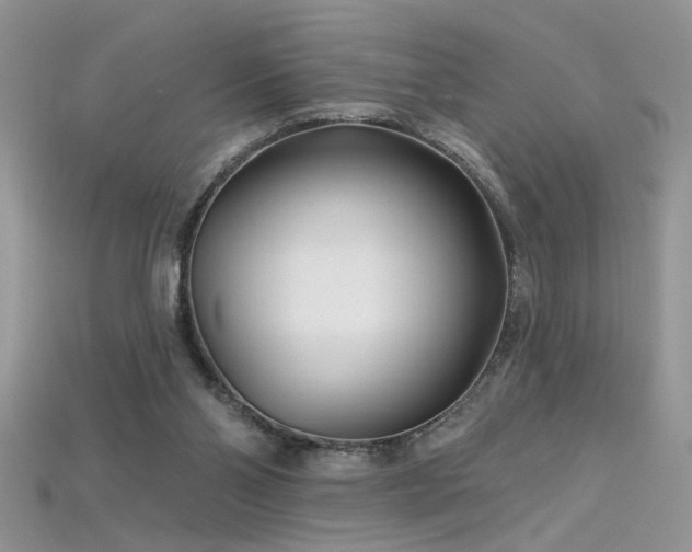 X0000115690110200911121316