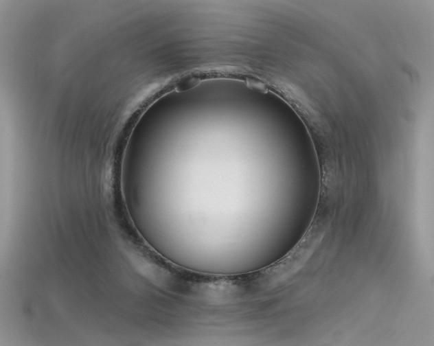 X0000115690112200911121316