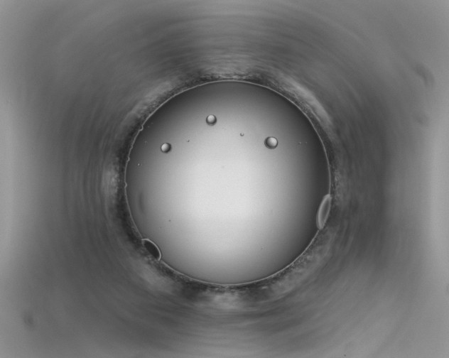 X0000115690113200911121316