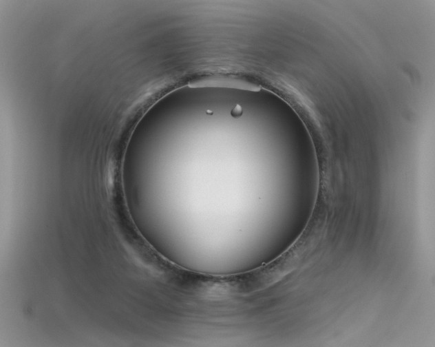 X0000115690115200911121316