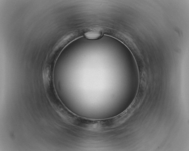 X0000115690116200911121316