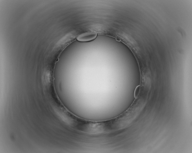X0000115690117200911121316