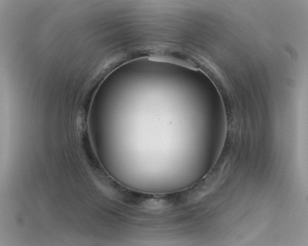 X0000115690119200911121316