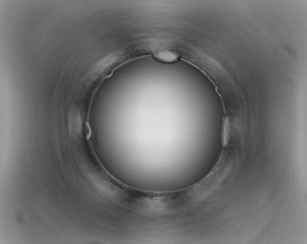 X0000115690120200911121316